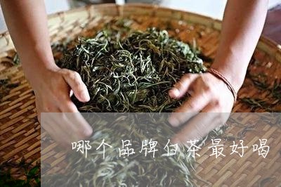 哪个品牌白茶最好喝/2023081495269