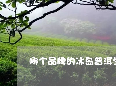 哪个品牌的冰岛普洱生茶好一点/2023053162936