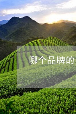 哪个品牌的白牡丹茶好喝/2023101671828