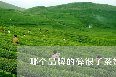 哪个品牌的碎银子茶好喝点/2023051113038