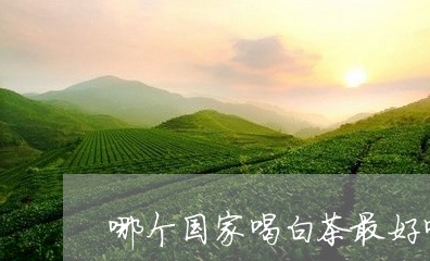 哪个国家喝白茶最好喝的/2023101635069