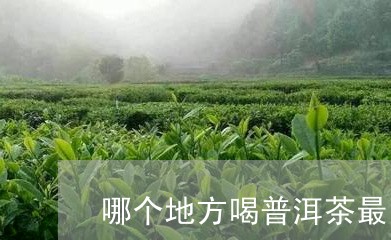 哪个地方喝普洱茶最多/2023100586150