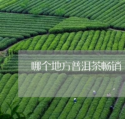 哪个地方普洱茶畅销/2023091344047