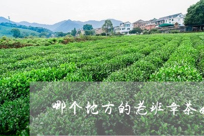 哪个地方的老班章茶好/2023092383957