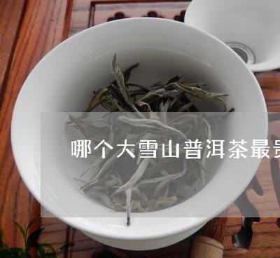 哪个大雪山普洱茶最贵/2023072311724