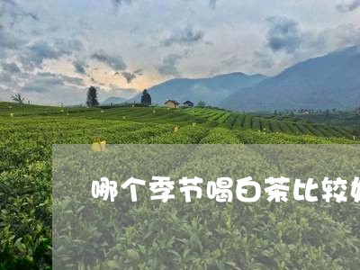 哪个季节喝白茶比较好喝/2023101673925