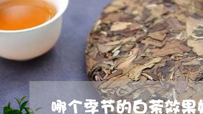 哪个季节的白茶效果好/2023092831827