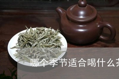 哪个季节适合喝什么茶/2023071328282