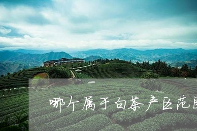 哪个属于白茶产区范围内/2023101600562