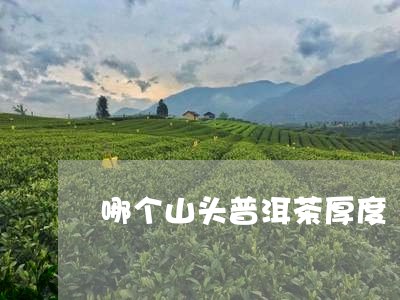 哪个山头普洱茶厚度/2023112725037