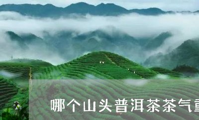 哪个山头普洱茶茶气重/2023061416028