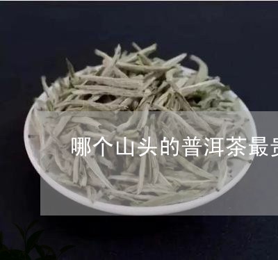 哪个山头的普洱茶最贵/2023080197059