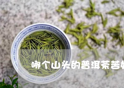 哪个山头的普洱茶苦好喝/2023121560483