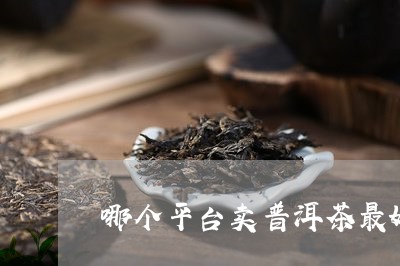 哪个平台卖普洱茶最好/2023100653514