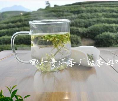 哪个普洱茶厂的茶好喝/2023100658582