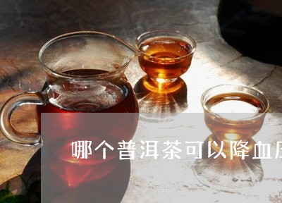 哪个普洱茶可以降血压/2023062263148