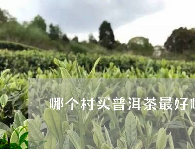 哪个村买普洱茶最好喝/2023062951603