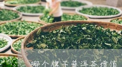 哪个牌子普洱茶增值/2023091414858