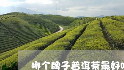 哪个牌子普洱茶最好喝/2023100636260