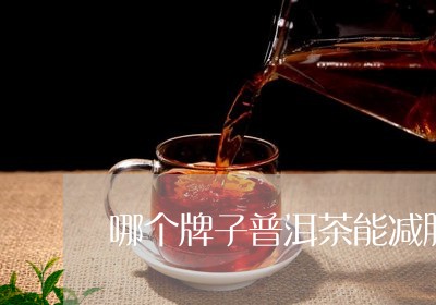 哪个牌子普洱茶能减肥/2023100682936