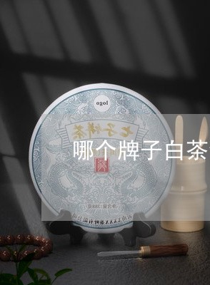 哪个牌子白茶饼好喝一点/2023082502936