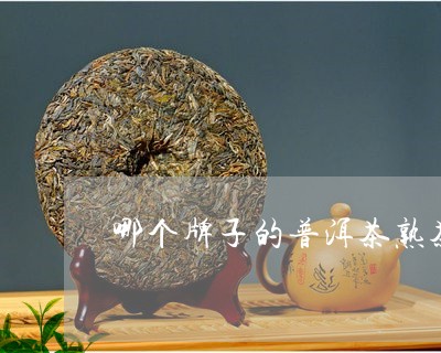 哪个牌子的普洱茶熟茶好一点/2023052847149