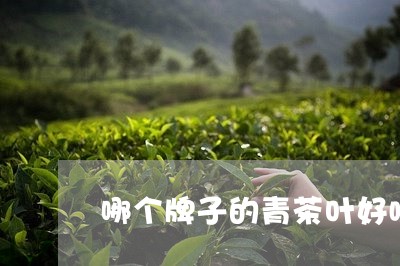 哪个牌子的青茶叶好喝/2023061018370