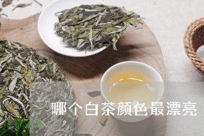 哪个白茶颜色最漂亮/2023081403947