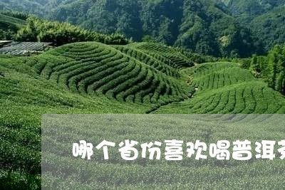 哪个省份喜欢喝普洱茶/2023080161814