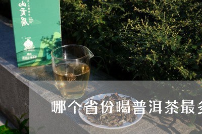 哪个省份喝普洱茶最多/2023120721604