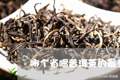 哪个省喝普洱茶的最多/2023062230383