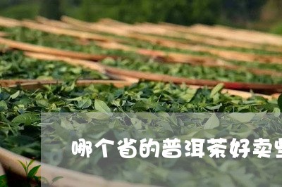 哪个省的普洱茶好卖些呢/2023081482948