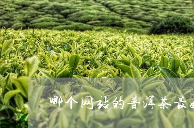 哪个网站的普洱茶最好/2023080227279