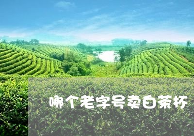 哪个老字号卖白茶杯/2023071740693