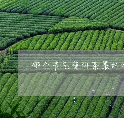 哪个节气普洱茶最好喝/2023080381692