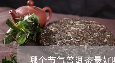 哪个节气普洱茶最好喝/2023100791724