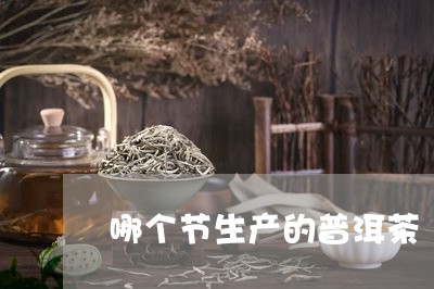 哪个节生产的普洱茶/2023110272828