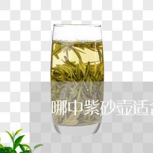 哪中紫砂壶适合泡白茶/2023092893835