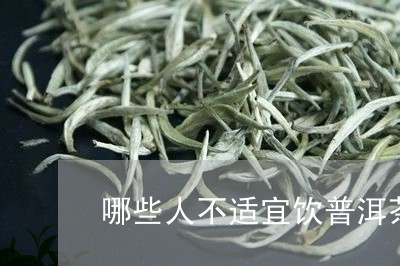 哪些人不适宜饮普洱茶生茶/2023082989783