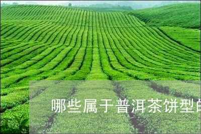 哪些属于普洱茶饼型的茶/2023082448462