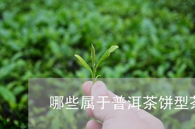 哪些属于普洱茶饼型茶叶/2023082423716