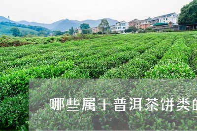 哪些属于普洱茶饼类的茶/2023110178404