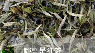 哪些是红茶/2023090608460