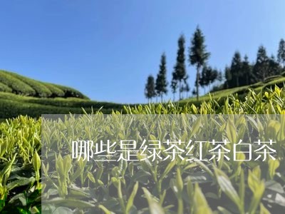 哪些是绿茶红茶白茶/2023121807262