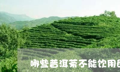 哪些普洱茶不能饮用的原因/2023082748493