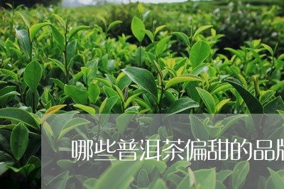 哪些普洱茶偏甜的品牌好/2023103139363