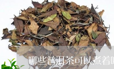 哪些普洱茶可以煮着喝/2023080113646