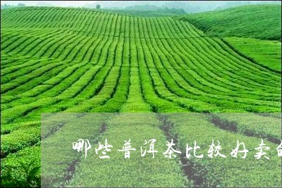 哪些普洱茶比较好卖的/2023120667260