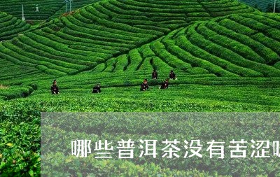 哪些普洱茶没有苦涩味/2023062310516