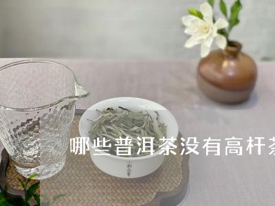 哪些普洱茶没有高杆茶叶/2023082788682